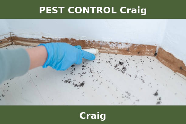 PEST CONTROL Craig